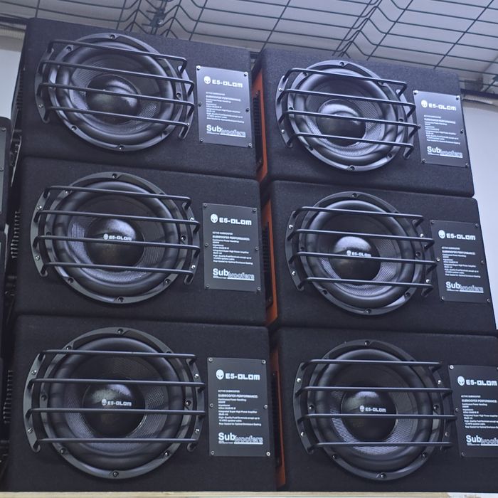 Большие 10 дюймовый сабвуферы по 40 тысяч. Оригинал E-5 OLOM