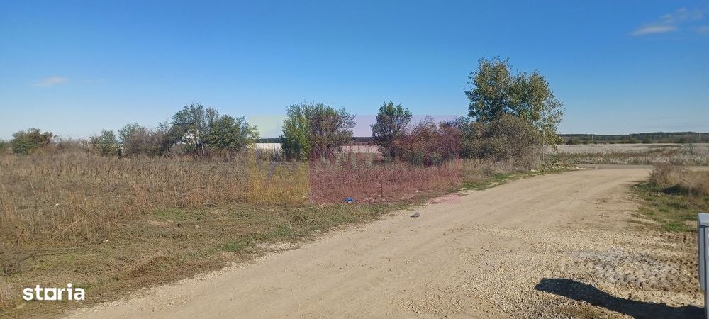 Săbăreni, teren rezidential 6290 mp, cu 52m FS, utilitati in apropiere