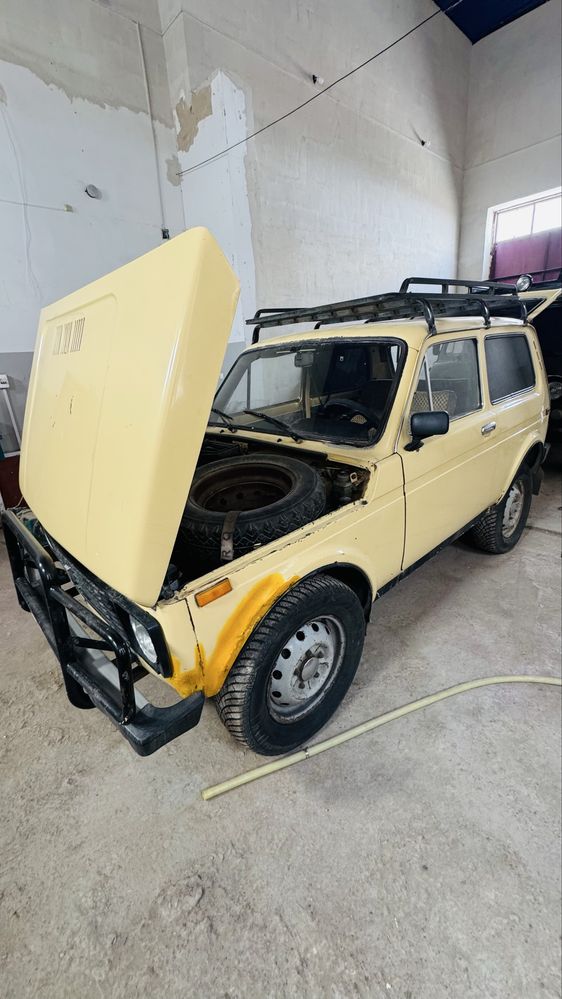 Niva Satiladi  1989-jil