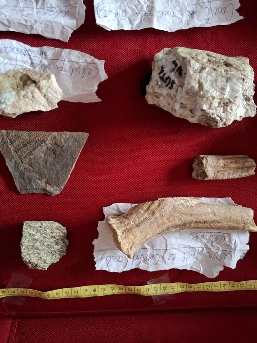 Vând roci de mare valoare geologică