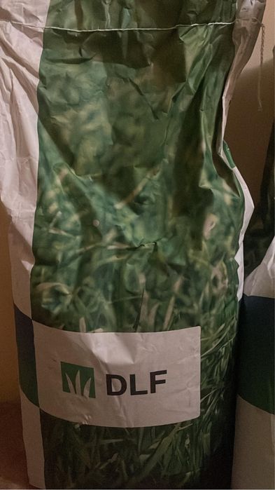 Семена газона DLF