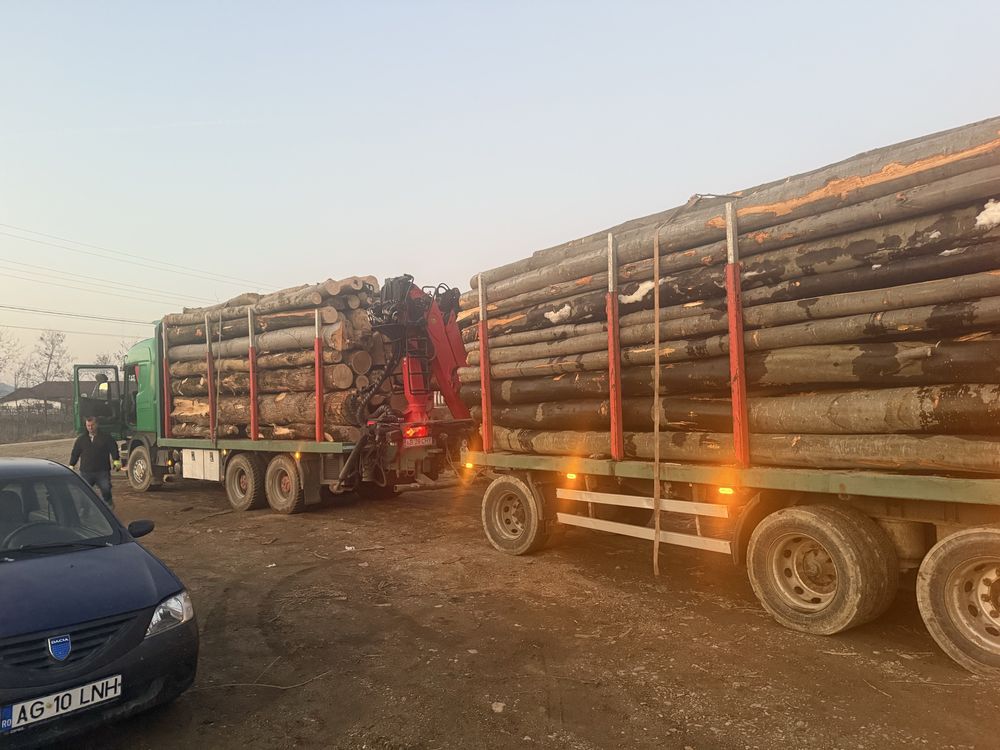 Vand lemn foc verde si uscat cu posibilitatea de transport