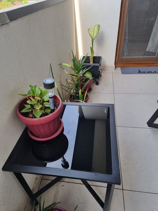 Set scaune balansoar + măsuță