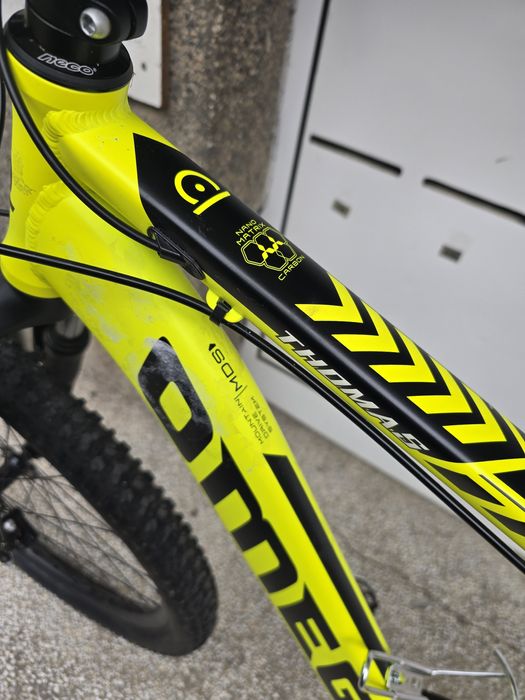 Omega Thomas 27.5