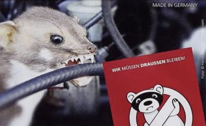 Немска защита за двигател от гризачи