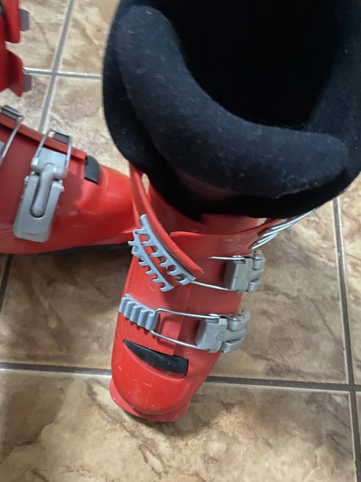 Clăpari Salomon si Alpina