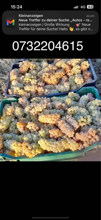 Vand struguri de vin