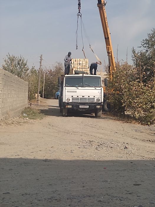 Moshina gazda yuripti