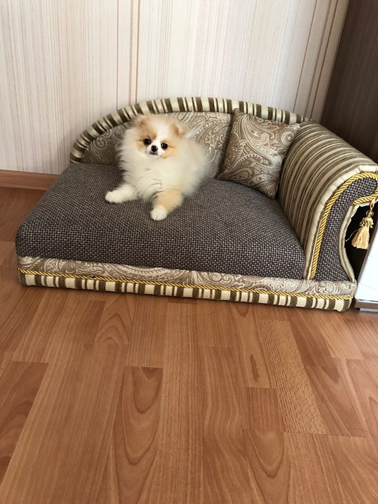 Диванчик для домашних животных.