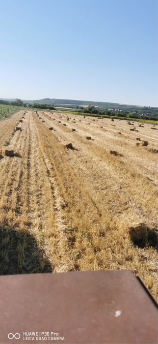 Baloti grau si orzoaică bine presați si bine feriți de umiditate