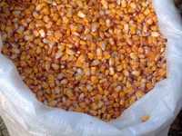 Vând cereale grau porumb orz 2023