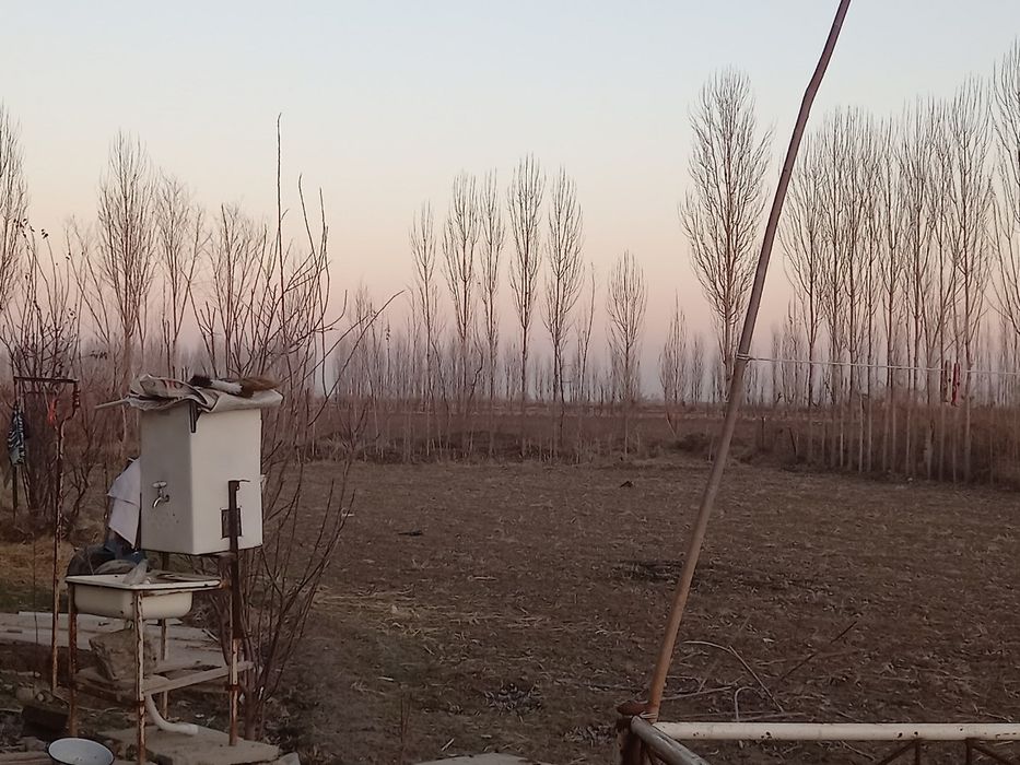 Zarbdor  20 sotixli xovli uy sotiladi