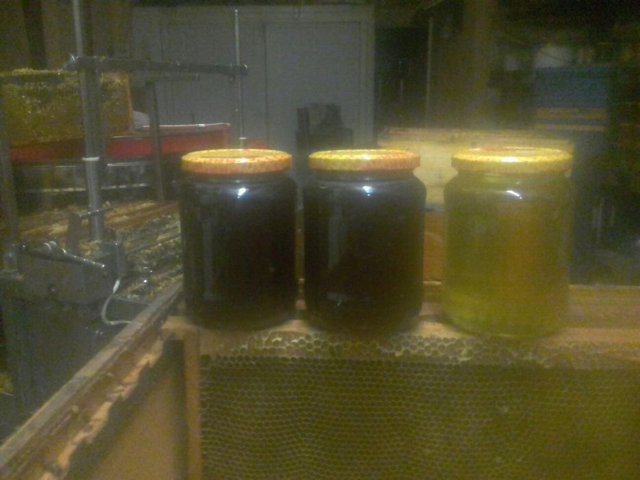 vand miere bio  en gross , salcam 7t,poliflora 10t,stupi vert,oriz,pav