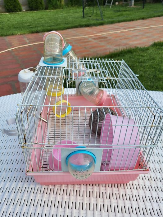 Vand cusca hamsteri