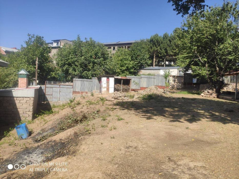 Humsonda dacha uchun yer sotiladi