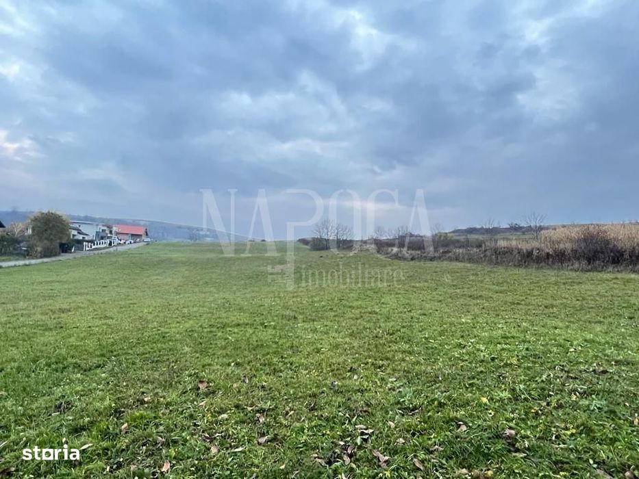 Teren intravilan pentru constructii de vanzare in Chinteni