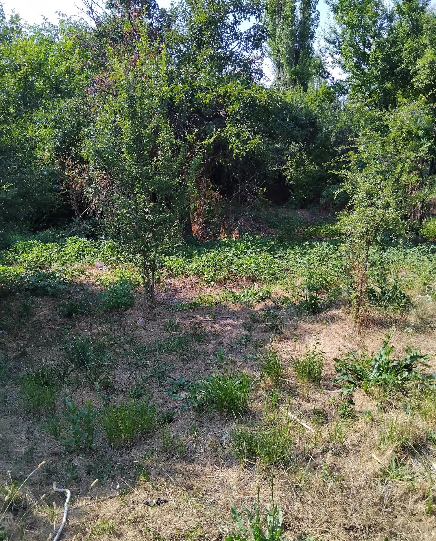 Продава къща в с.Мламолово общ.Бобов дол