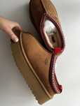 UGG TAZZ Chestnut