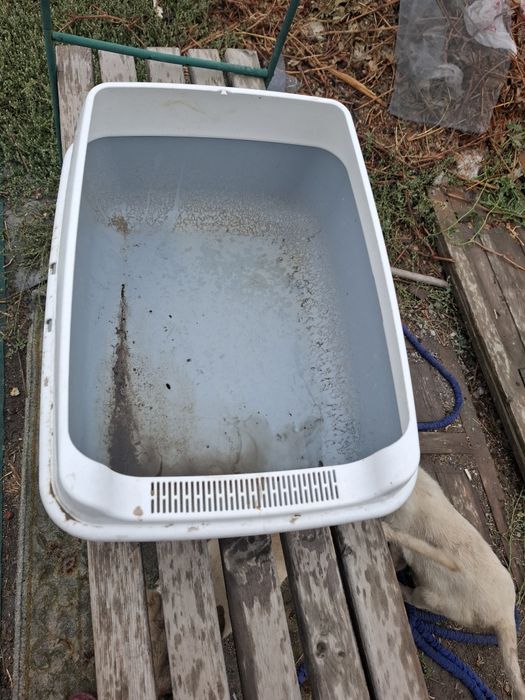 Продам лоток для кошек