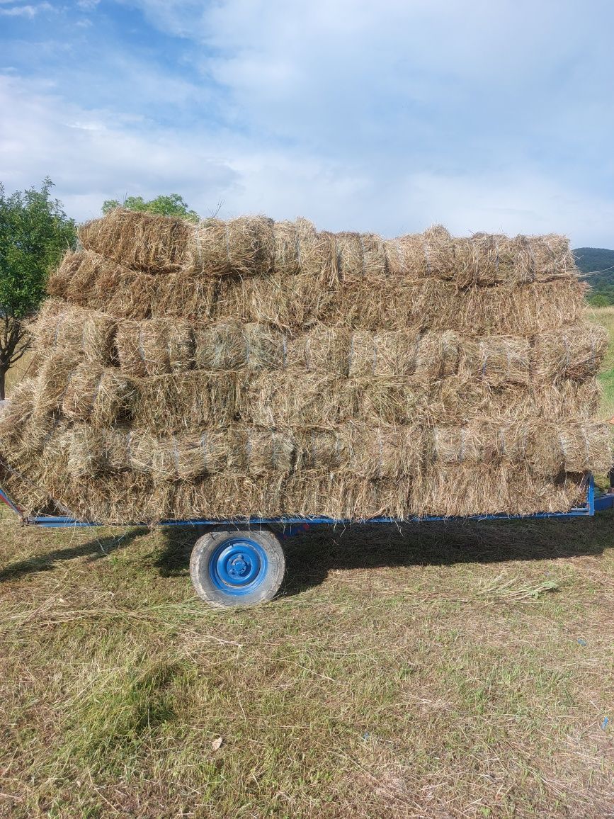 Vând baloți de fân