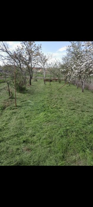 Vind casă s-au schimb cu apartament!