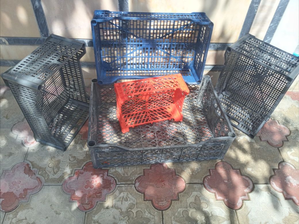 Optom yashikpar hammasidan bor qancha kerak bòsa