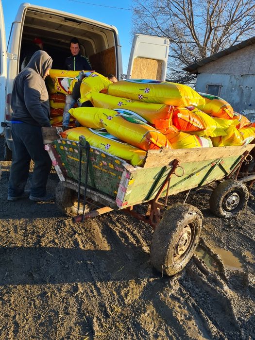 Vand furaje Miei PURINA