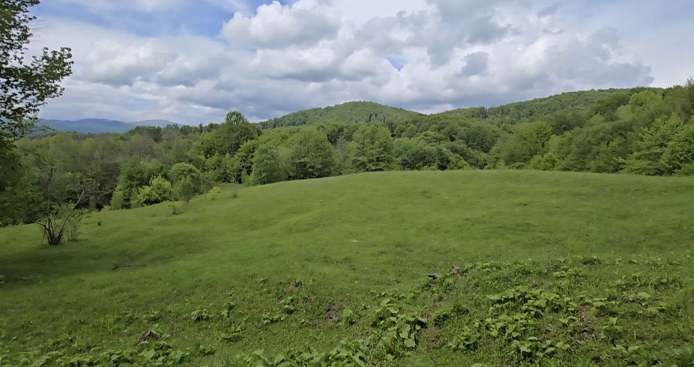 Teren in zona de munte