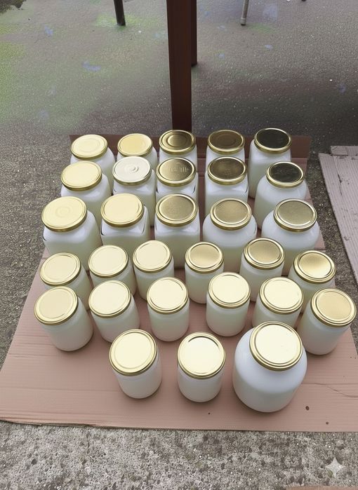 Свинска мас ,домашна (тази годишна)