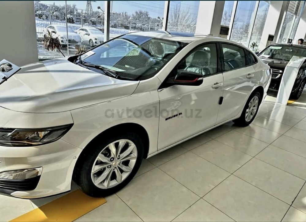 Malibu 2 XL Sotladi masla