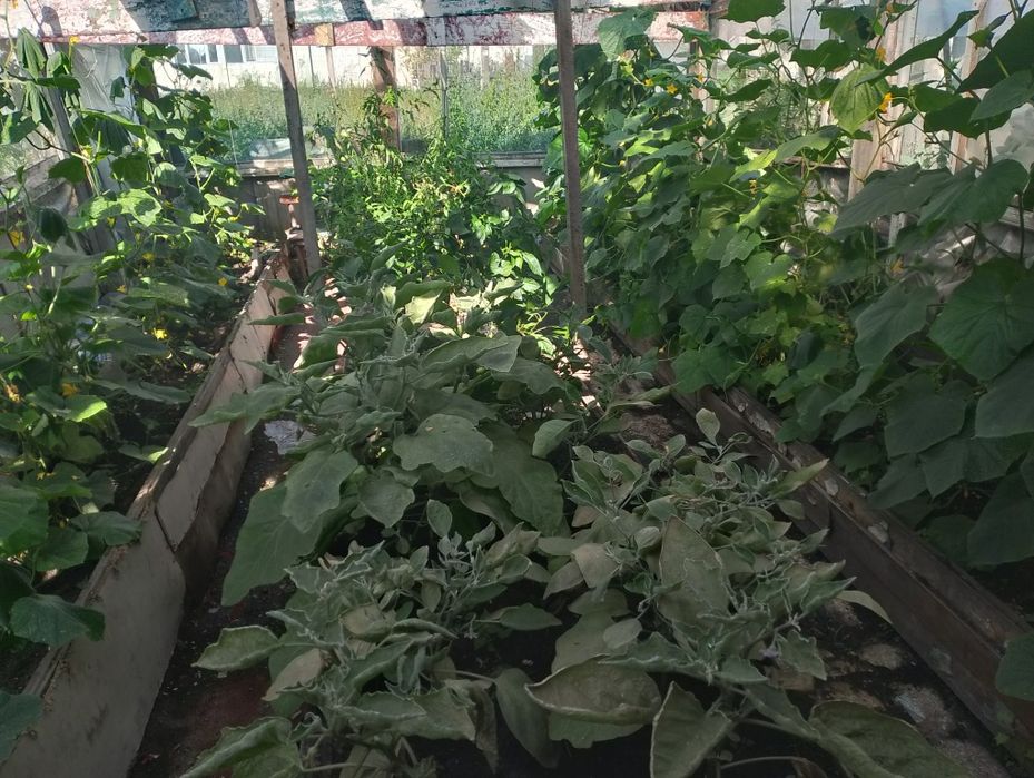 Продам дом г. Акколь