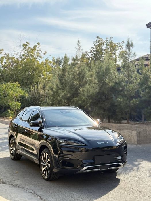 BYD chempion  2023 yil