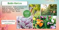 Plante ,bulbi ,pomi fructiferi ,arbuști ornamentali si fructiferi