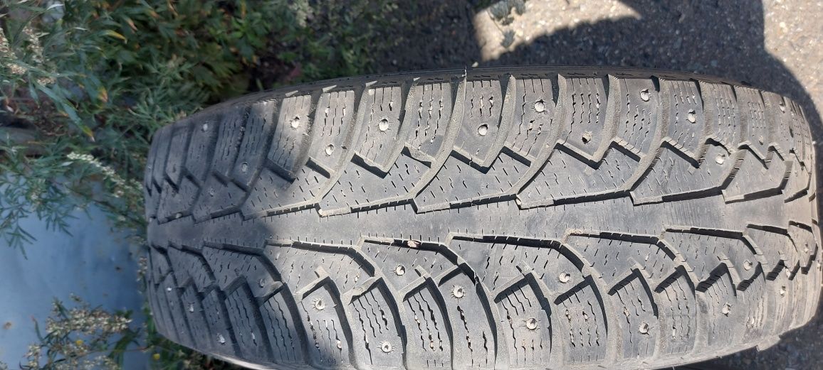 Nokian nordman 5