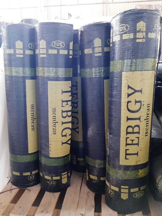 TM Berk Membrane, HiCo, Tebigy, Turkmaniston