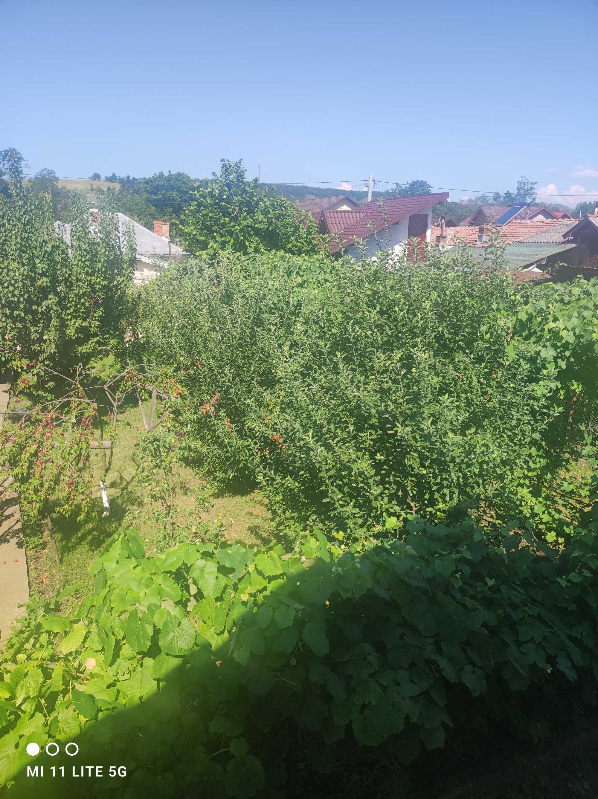 Teren Vălenii de  Munte 600 mp