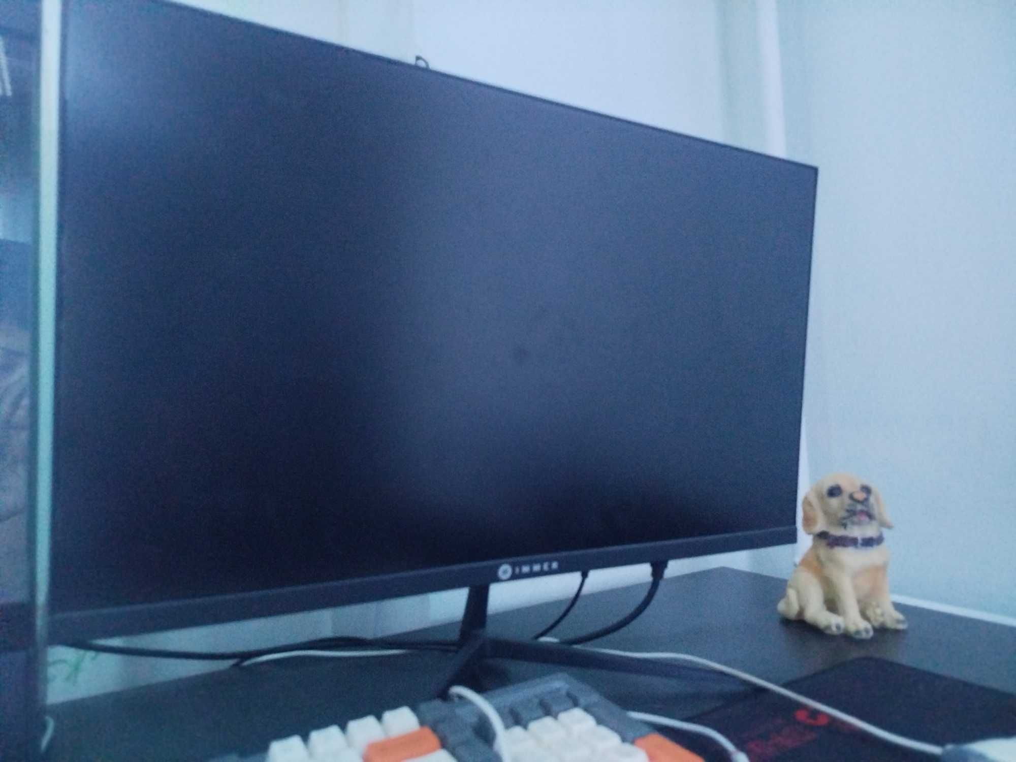 Monitor immer 100hz