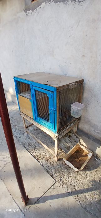 Quyonlaga qafasla
