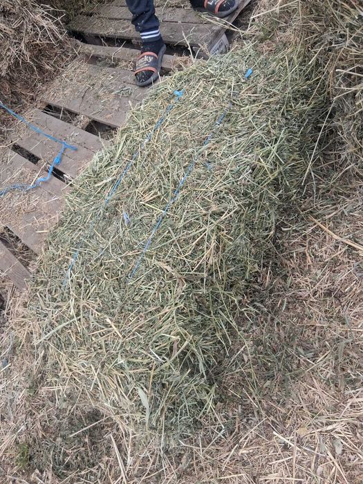 Vand baloti de lucerna