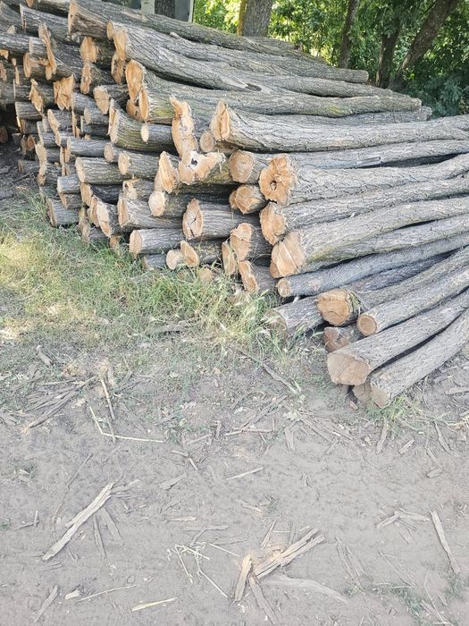 Vind lemn foc salcim tăiate capete