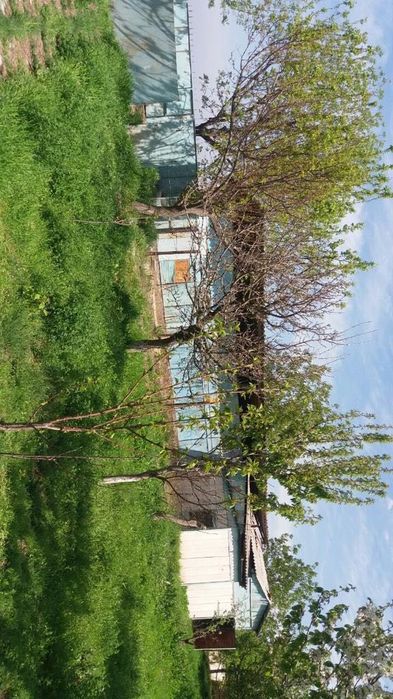 Продажа своего дома не дорого