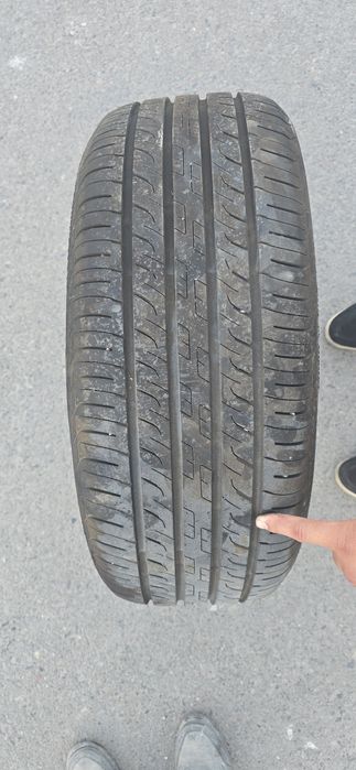 Byd chempion baloni sotiladi