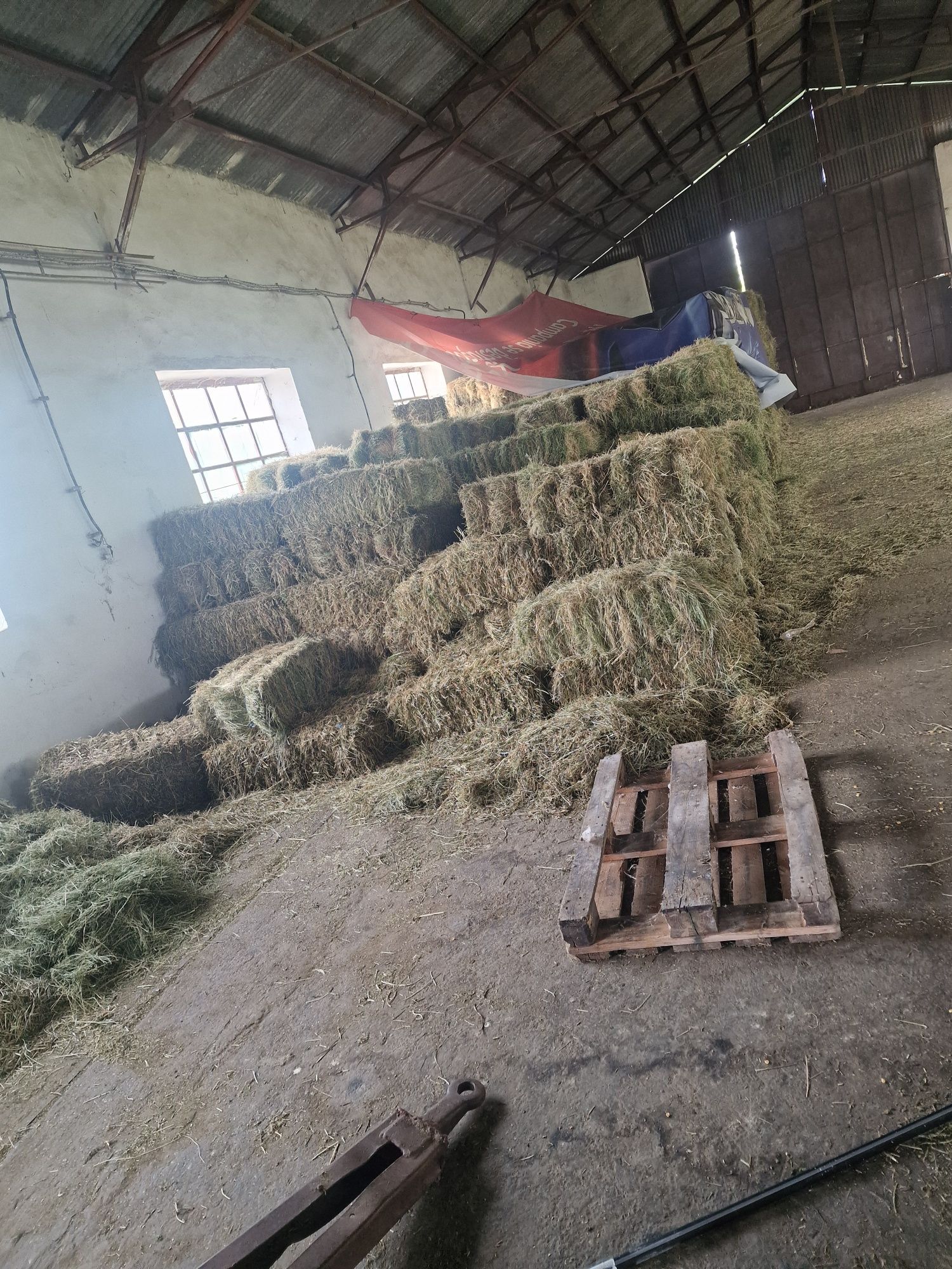 Lucernă de Vânzare