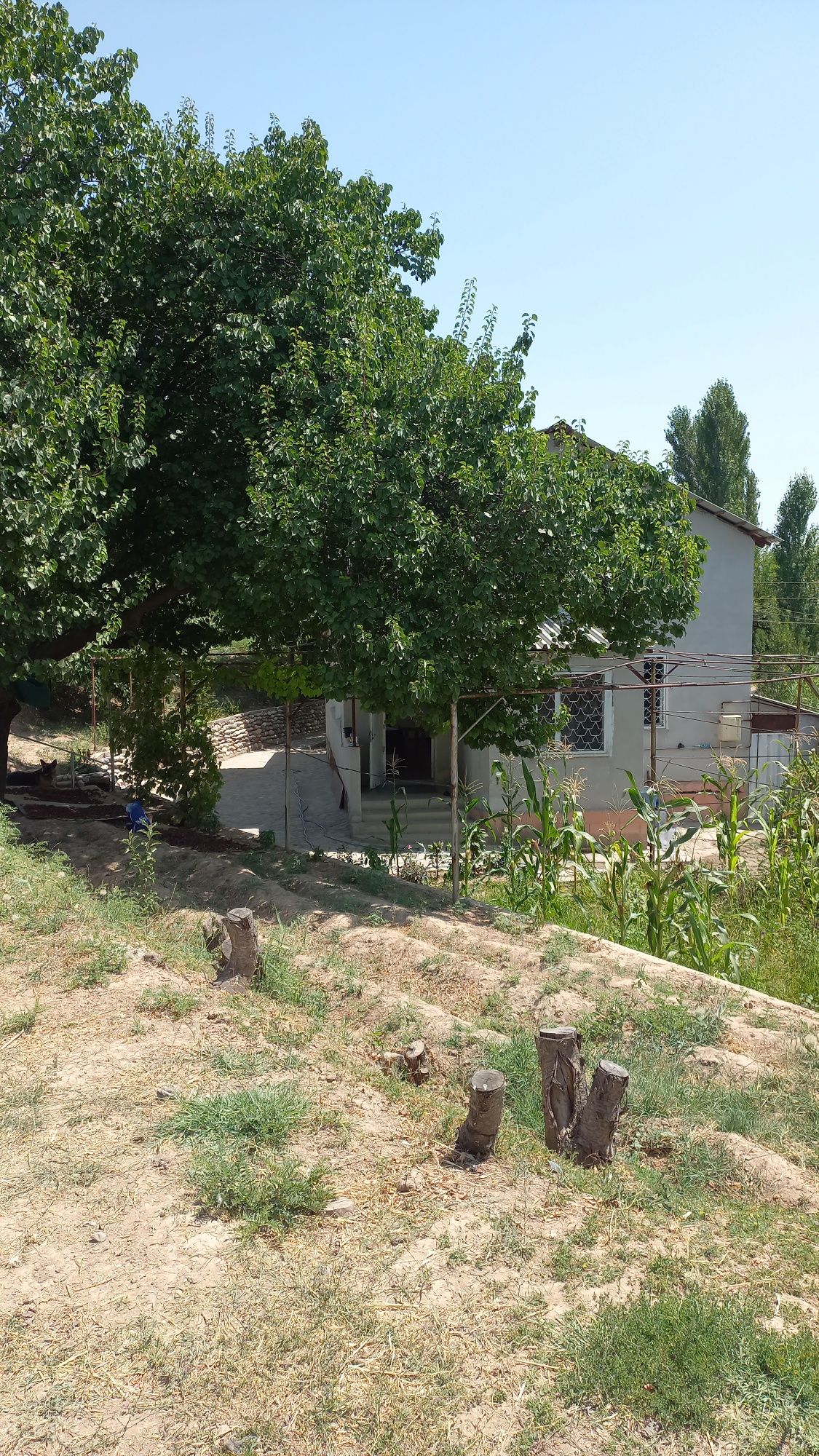 Продается Своя дача