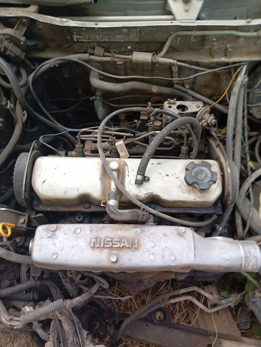 Нисан примера на запчасти