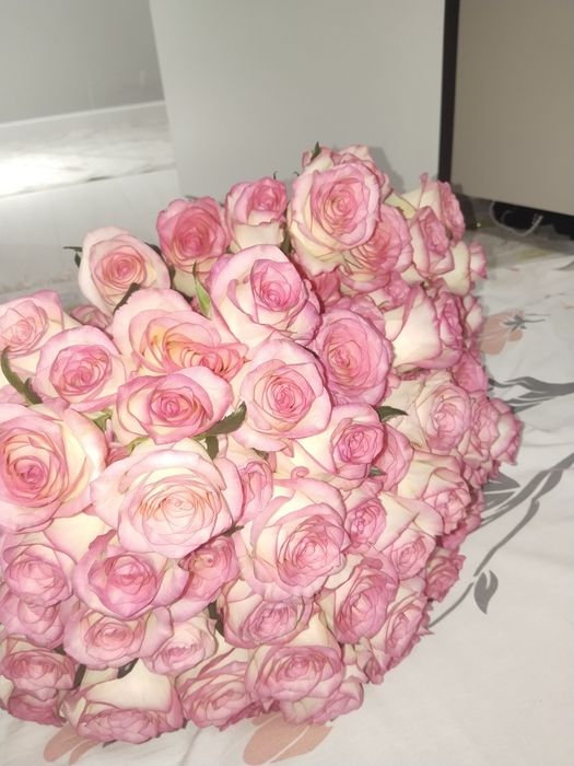 Розовые розы обьемные