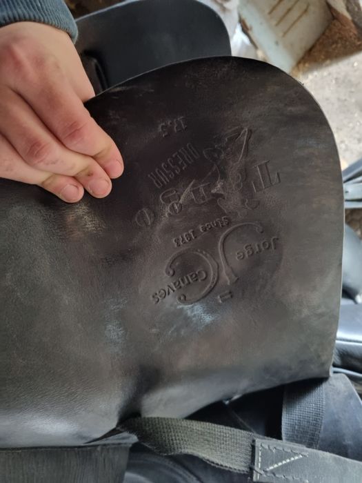 Șa pentru echitatie (dresaj )