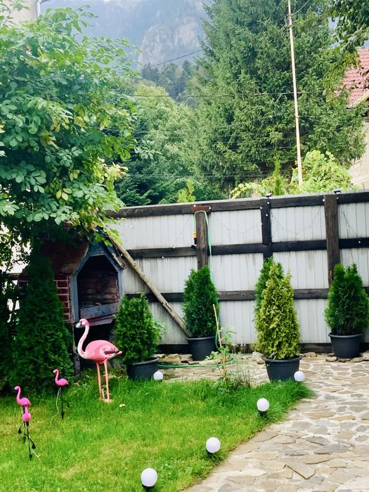 Ocazie unica! Vilă  eleganta Bușteni Zamora– Preț Fix 136.000€