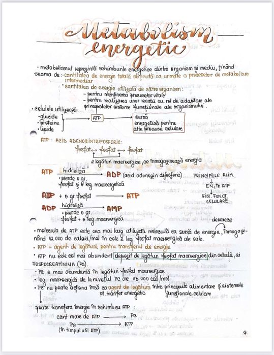 Notițe admitere medicină - biologie