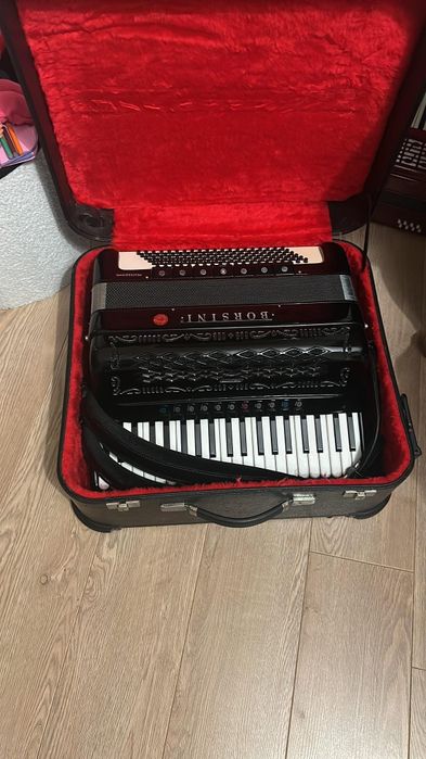 Borsini Profesional cassoto